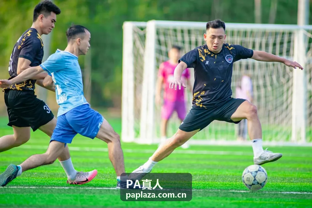 PA真人问题反馈与咨询